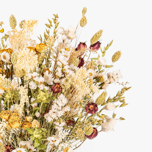 Dreamy Meadows Dried Flowers
